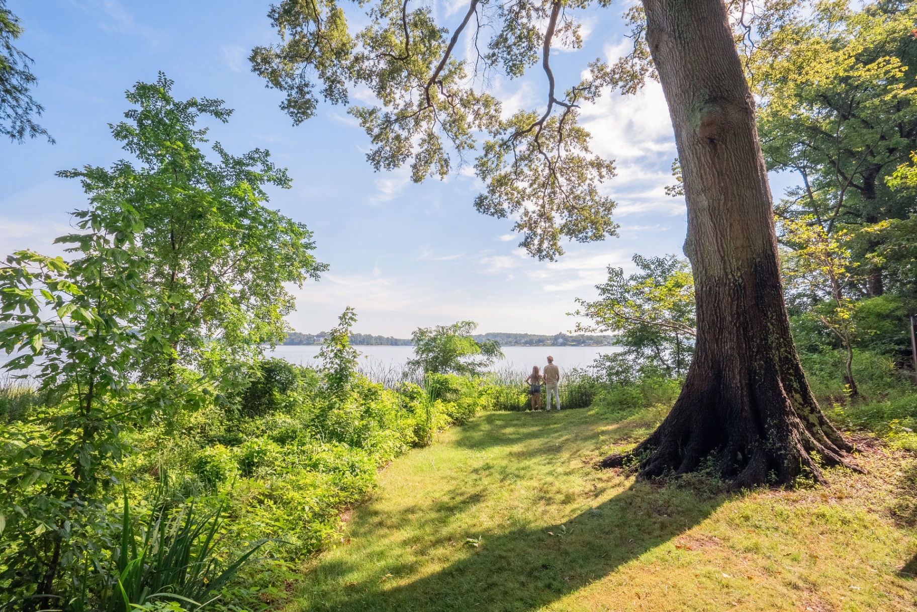 Couple beneath a large tree overlooking the South River at Historic London Town Gardens